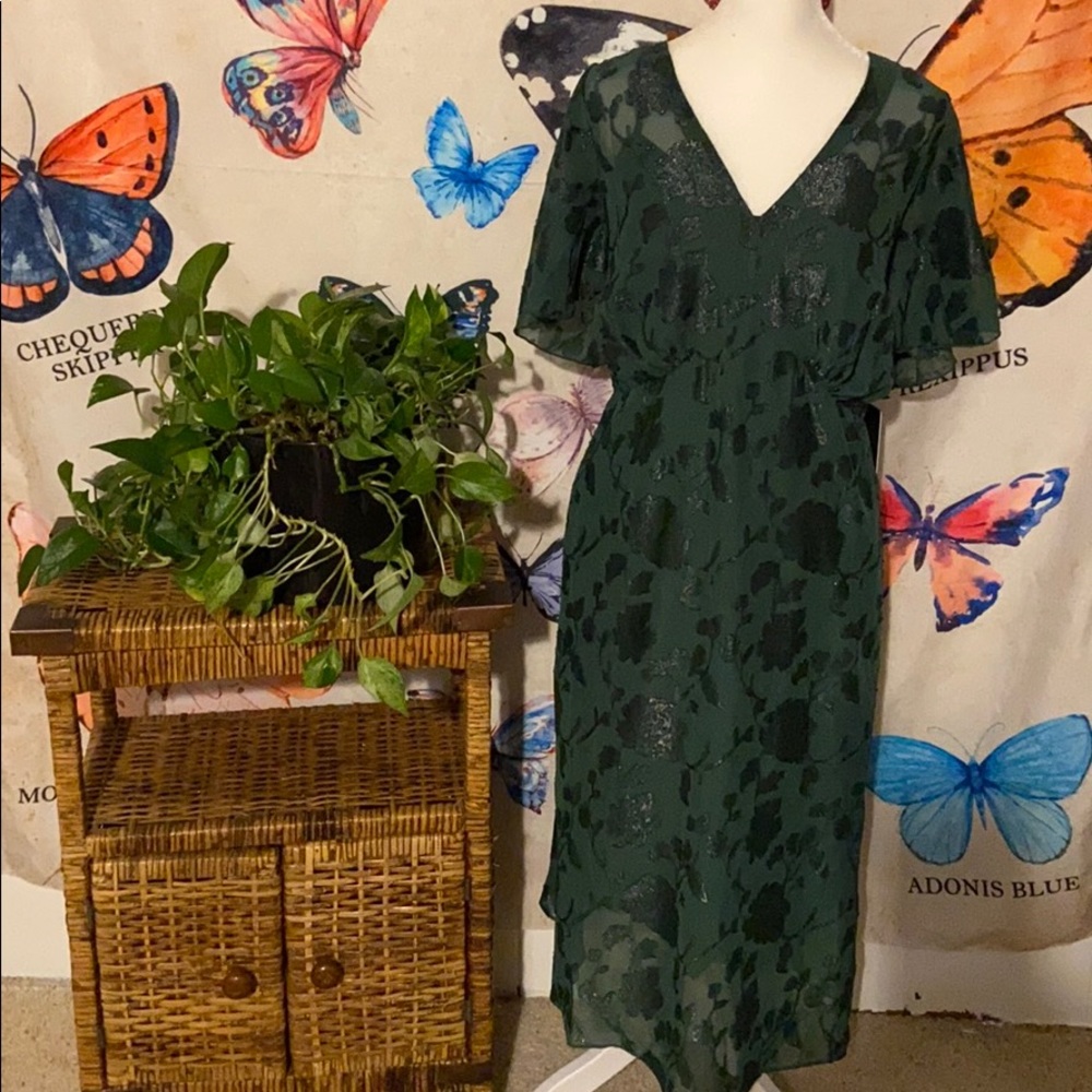 Beautiful mod cloth lace green dress with slip NWT